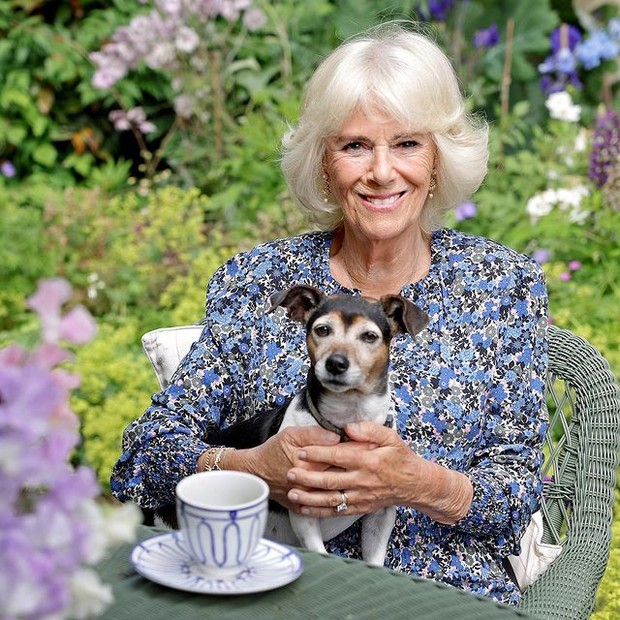 Camilla Parker adalah menantu Ratu Elizabeth II