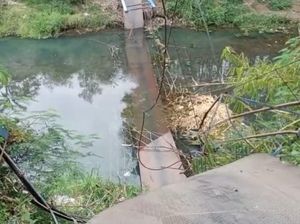 Kondisi Jembatan Gantung Probolinggo Putus saat Dilewati Pelajar Gerak jalan