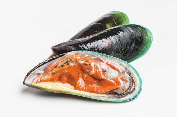 Kerang/Foto: Freepik.com/Dashu83 Kerang