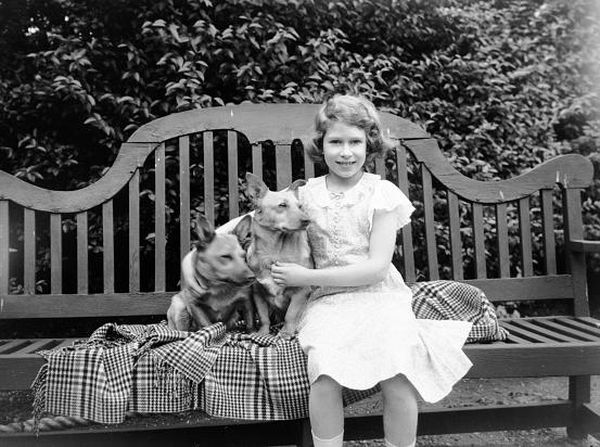 Kisah Ratu Elizabeth II dengan Puluhan Anjing Corginya
