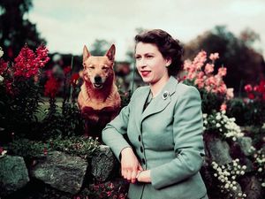 Berdedikasi Hingga Detik Terakhir, Potret Ratu Elizabeth dari Masa ke Masa Berdedikasi Hingga Detik Terakhir, Potret Ratu Elizabeth dari Masa ke Masa