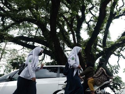 Mengenal Pohon Jubleg di Parung Bogor, Konon Berusia 100 Tahun