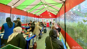Serasa di Korea! Makan Gurita Pedas Sambil Seruput Soju di Warung Tenda