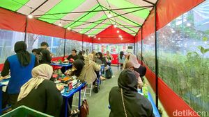 Serasa di Korea! Makan Gurita Pedas Sambil Seruput Soju di Warung Tenda