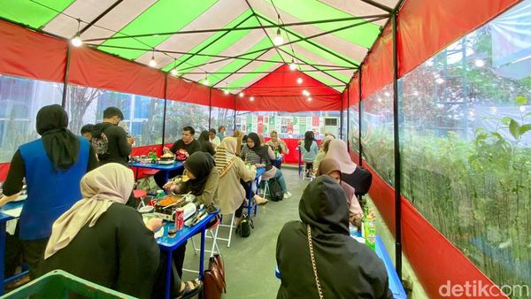 Serasa di Korea! Makan Gurita Pedas Sambil Seruput Soju di Warung Tenda