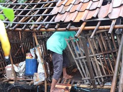 Menyedihkan! Pria Subang Huni Bekas Kandang Domba Selama 7 Tahun