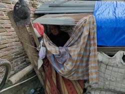 Pilu Sosok Lansia Idap Stroke Hidup di Kandang Bebek