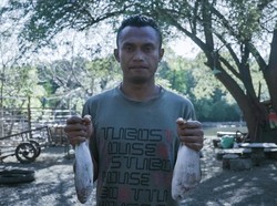 Cara Buat Ikan Bandeng Air Payau Gemuk, Raup Puluhan Juta Sekali Panen