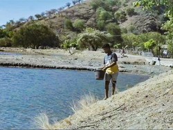 Cuan Budidaya Ikan Bandeng Air Payau, Sekali Panen Bisa 600 Kg