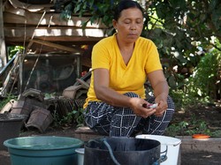 Mantap! Bedetan Perancak Jembrana Cocok Temani Nasi dan Lalapan