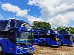 Harga BBM Melambung, Tarif Bus Antarkota di Banyuwangi Naik 30 Persen