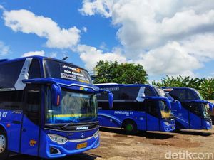 Harga BBM Melambung, Tarif Bus Antarkota di Banyuwangi Naik 30 Persen Harga BBM Melambung, Tarif Bus Antarkota di Banyuwangi Naik 30 Persen
