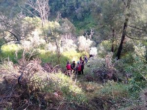 Tikungan Bukit Cinta, TKP Jip Wisatawan Bromo Masuk Jurang Tikungan Bukit Cinta, TKP Jip Wisatawan Bromo Masuk Jurang