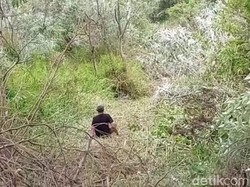 Jip Terjun Bebas ke Jurang Bromo Sedalam 200 Meter