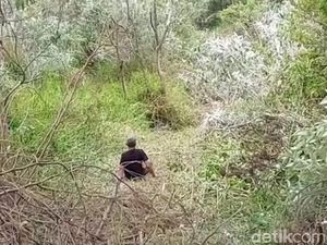 Jip Terjun Bebas ke Jurang Bromo Sedalam 200 Meter Jip Terjun Bebas ke Jurang Bromo Sedalam 200 Meter