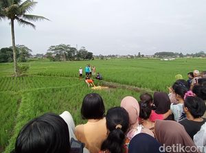 Geger Penemuan Mayat di Tengah Sawah Tasikmalaya