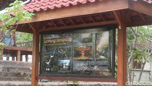 Luweng Jomblang Cahaya Surga Usai Mati Suri gegara Pandemi