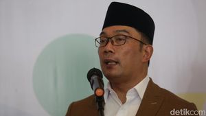 Momen Ridwan Kamil Luncurkan Aplikasi Tryout CPNS