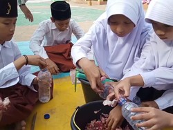 Pelajar SDN di Purwakarta Ciptakan Pestisida dari Kulit Bawang