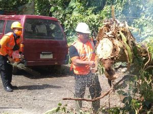 Garasi-Mobil Rusak Tertimpa Pohon Aren di Karangasem Garasi-Mobil Rusak Tertimpa Pohon Aren di Karangasem
