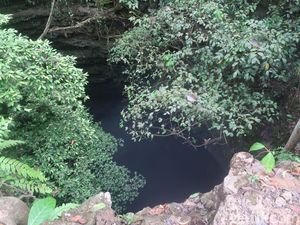 Luweng Grubug di Gunungkidul Disebut Jadi Lokasi Eksekusi Tragedi G30S Luweng Grubug di Gunungkidul Disebut Jadi Lokasi Eksekusi Tragedi G30S
