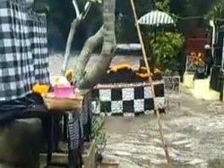 Tukad Yeh Empas Tabanan Meluap, Areal Pura Beji Dauh Pala Terendam