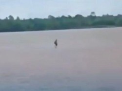 Fakta di Balik Viral Pria Jalan di Atas Air Sungai Barito