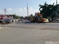 Puluhan Pohon Tabebuya Bakal Percantik Alun-alun Kota Pasuruan
