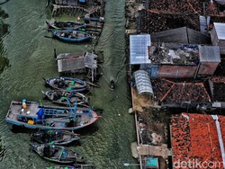 Ancaman Rob di Utara Jawa