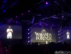 Rahasia Black Panther Terungkap di D23 Expo