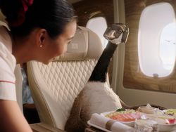 Kenalin, Ini Bintang Iklan Terbaru Emirates: Gerry Si Angsa