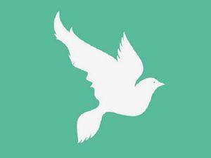 Tes Kepribadian: Gambar Merpati atau Wajah yang Pertama Kali Kamu Lihat?