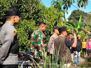 Sempat Mengungsi Saat Gempa, Warga Mentawai Sudah Kembali ke Rumah