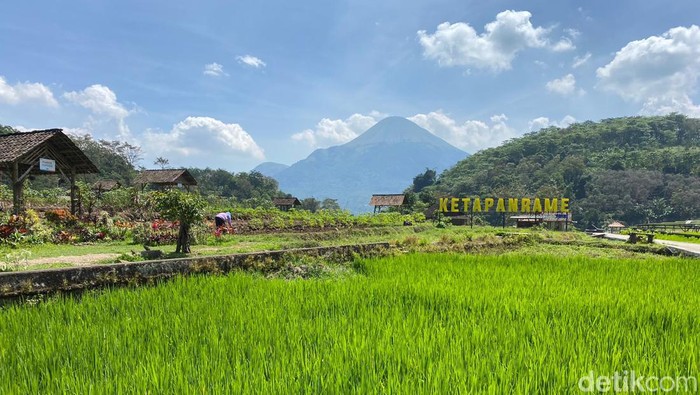 Wisata Sumber Gempong Mojokerto Letaknya di antara Gunung Welirang dan Penanggungan bikin Trawas, Kabupaten Mojokerto menjadi jujukan wisata. Salah satunya Sumber Gempong yang pas banget untuk healing seru bareng keluarga atau teman.