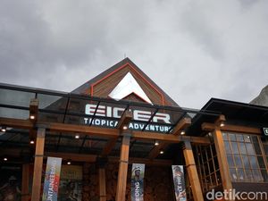 Bungkus Plastik Diganti Kardus, Bagaimana Nasib Hutan?