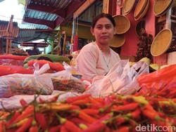 Harga Cabai di Enrekang Kian Pedas Usai Tembus Rp 50.000 per Kilogram