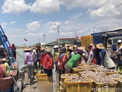 Imbas Kenaikan BBM, Harga Ikan di TPI Tasikagung Rembang Melonjak