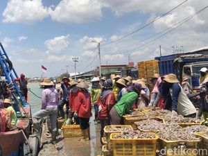 Imbas Kenaikan BBM, Harga Ikan di TPI Tasikagung Rembang Melonjak Imbas Kenaikan BBM, Harga Ikan di TPI Tasikagung Rembang Melonjak