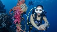 Hobi Baru Gisella Anastasia, Coba Scuba Diving Biar Pikiran Tenang