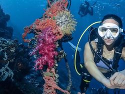 Hobi Baru Gisella Anastasia, Coba Scuba Diving Biar Pikiran Tenang