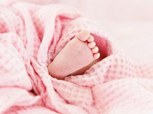 Geger Warga di Majene Temukan Bayi Dalam Kardus di Depan Rumah Geger Warga di Majene Temukan Bayi Dalam Kardus di Depan Rumah