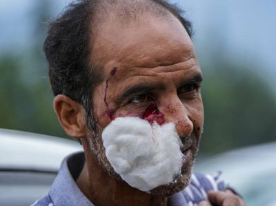 Seisi Khasmir India Heboh Gegara Serangan Beruang Liar