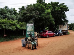Penyusup Mau Curi Anak Singa Langka, Eh Tewas Diterkam Emaknya