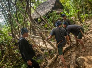 Rumah dan Jembatan Suku Baduy Tergerus Longsor, Ini Kondisinya Rumah dan Jembatan Suku Baduy Tergerus Longsor, Ini Kondisinya
