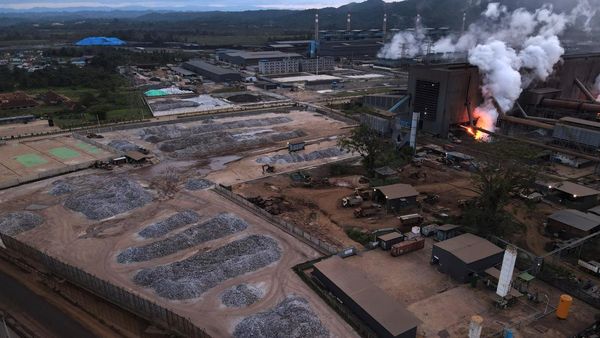 Ini Dia Harta Karun Incaran Dunia di Sulawesi