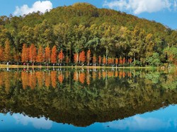 Kapan Hong Kong Kurangi Masa Karantina?