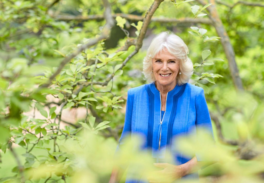 LONDON, UNITED KINGDOM - JULY 12: (EMBARGOED FOR PUBLICATION IN UK NEWSPAPERS UNTIL 48 HOURS AFTER CREATE DATE AND TIME) Camilla, Duchess of Cornwall attends a State Banquet at Buckingham Palace on day 1 of the Spanish State Visit on July 12, 2017 in London, England.  This is the first state visit by the current King Felipe and Queen Letizia, the last being in 1986 with King Juan Carlos and Queen Sofia. (Photo by Max Mumby/Indigo/Getty Images)