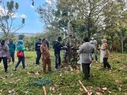 34 Sapi di Barru Terjangkit PMK, 9 Ekor Diklaim Sembuh Usai Diberi Jamu