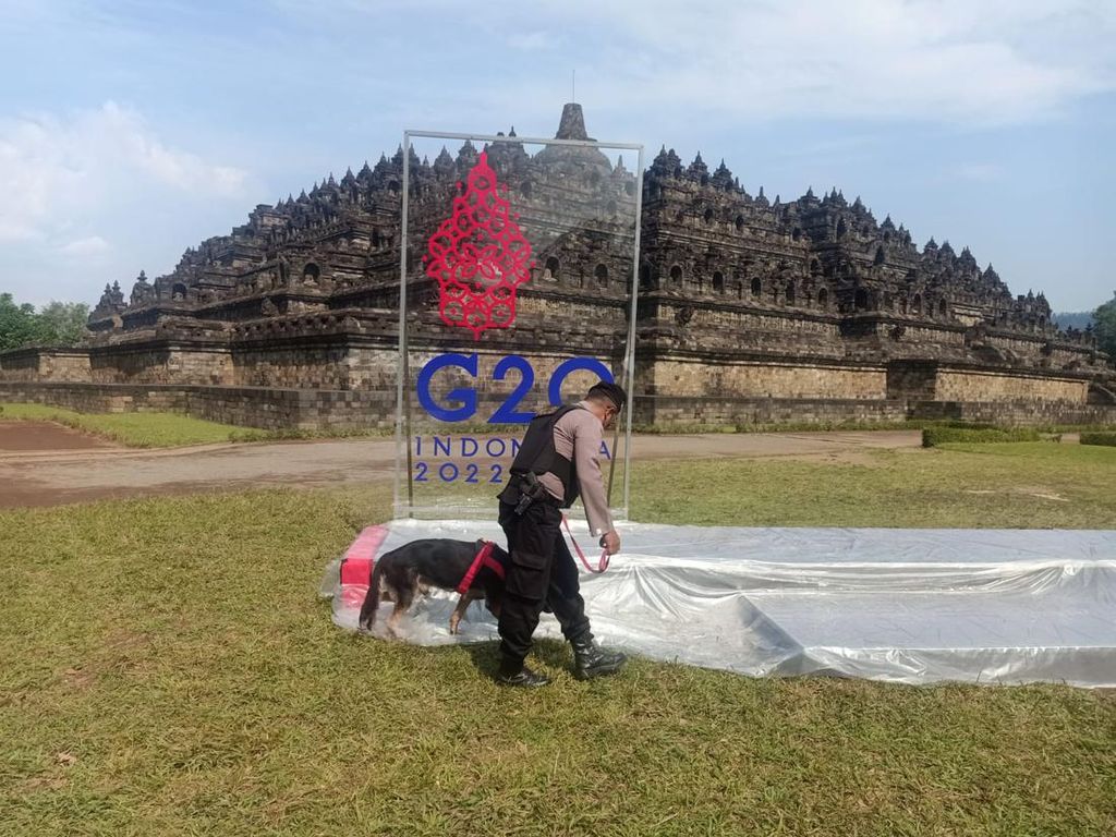 Kenali 2 Jenis Hewan yang Ikut Mengamankan G20 di Borobudur