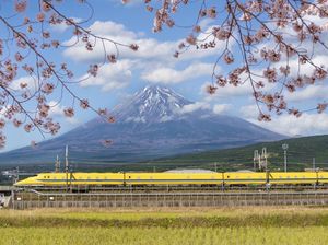 9 Fakta Unik Gunung Fuji, Puncak Tertinggi di Jepang 9 Fakta Unik Gunung Fuji, Puncak Tertinggi di Jepang